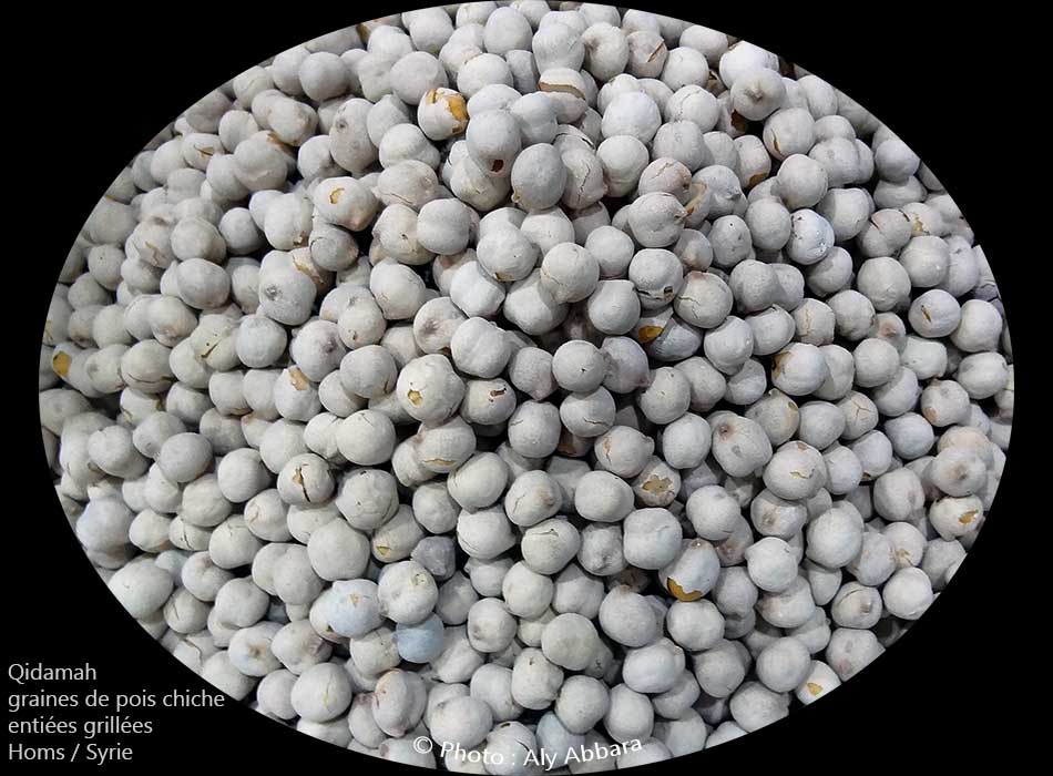 Graines de pois chiche non décortiquées et grillées : قضامة بيضاء 