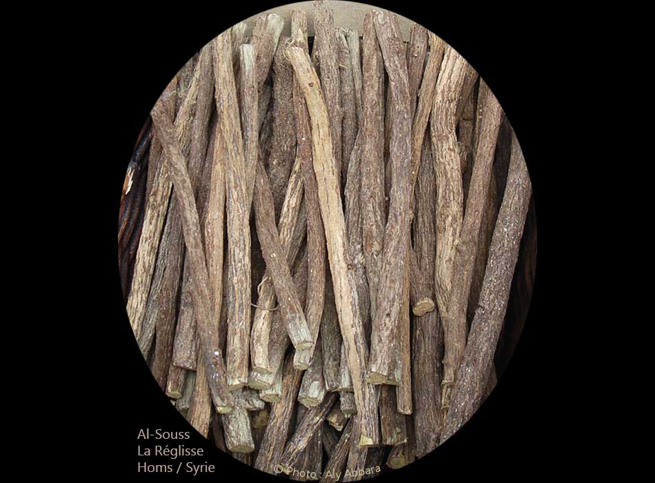 Réglisse (des branches du rhizome de la plante) عروق السوس