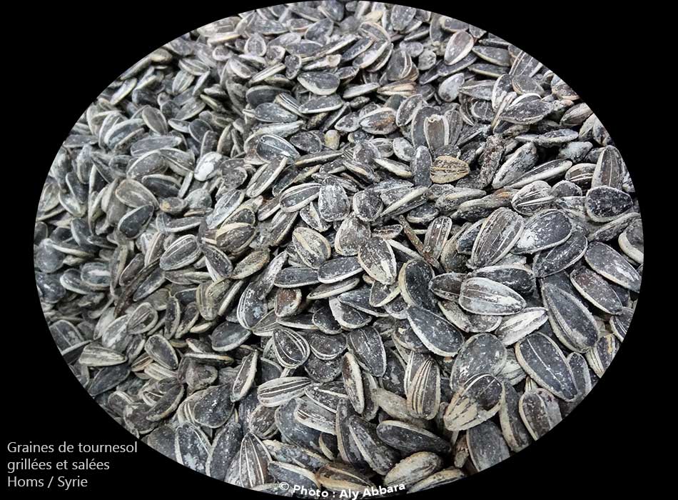 Graines de tournesol  grillées et salées  : حَب عَبَّاد الشمس المحمص والمملح