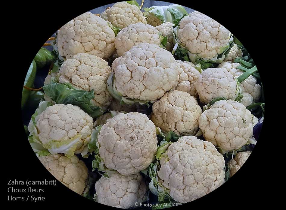 Choux fleurs : Zahra ou arnabitt - زَهْرة أو قرنبيط