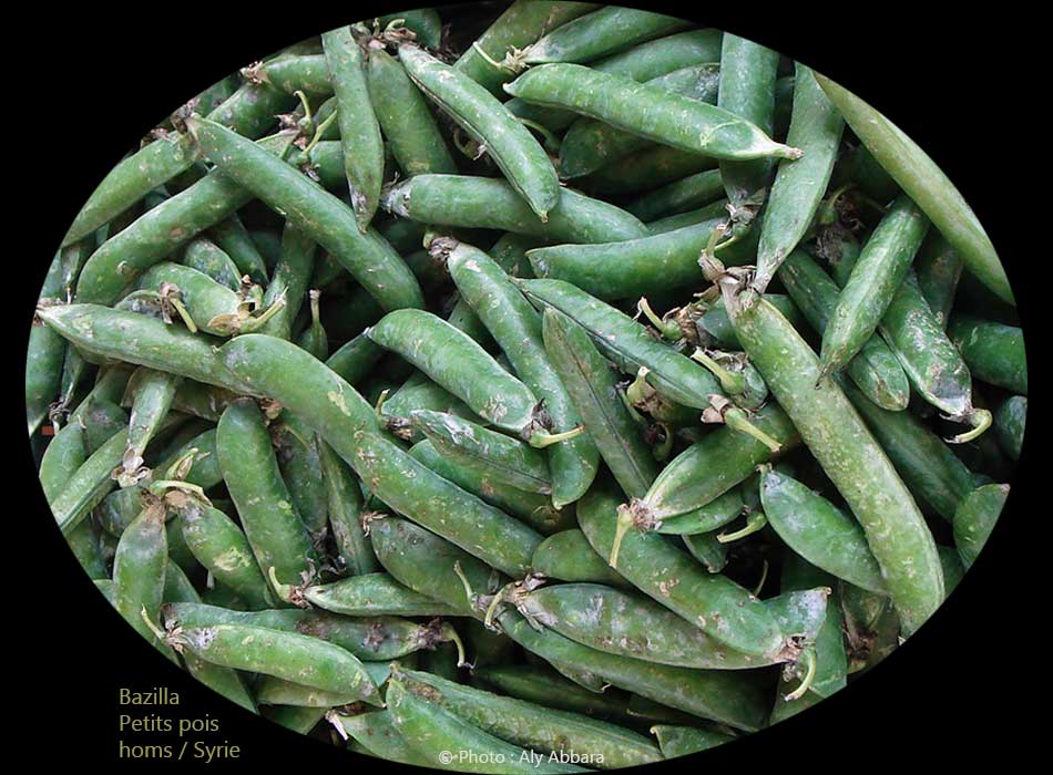 Doliques (cornilles) secs : loubia Hab -  لوبياء حَب