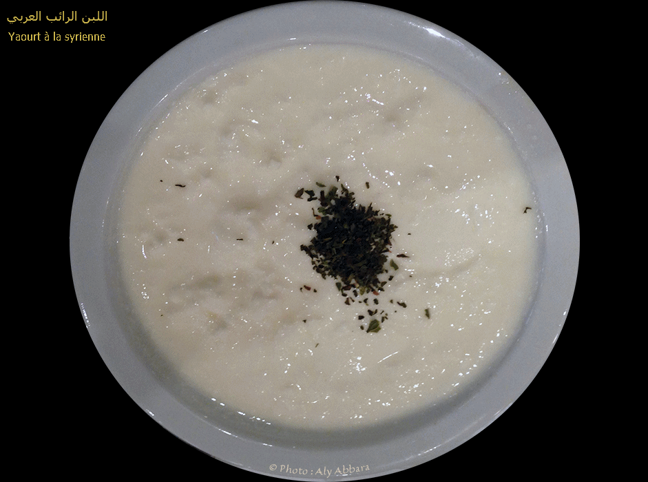 Syrie - Laban arabi - Yaourt de brebis - اللبن العربي - لبن الغنم - سوريا