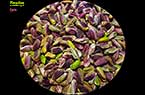 Pistachiers et pistaches d'Alep