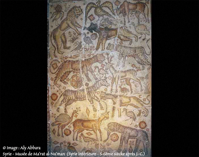 Animaux d'Afrique et d'ailleurs : un lion, une panthère - un léopard - un ours - un tigre - un cerf - une bouquetin - une hyène - un éléphant et différentes sortes d'oiseaux 